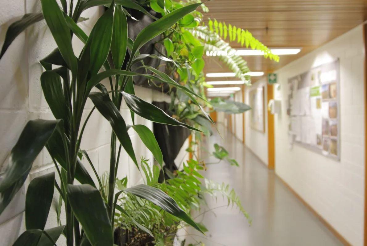 Greening Our Cities: How Vertical Greenery Systems (VGS) Help Capture Carbon and Improve Indoor Health  Dr. Jasmin Ghazalli